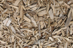 biomass boilers Bronygarth