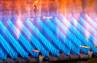 Bronygarth gas fired boilers